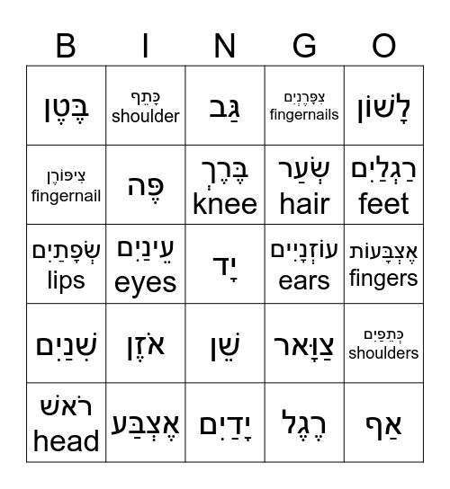 Body Parts - חֶלְקֵי גּוּף Bingo Card