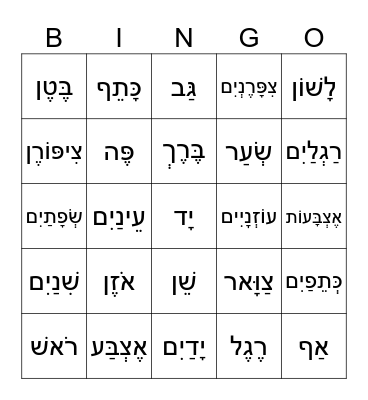 Body Parts - חֶלְקֵי גּוּף Bingo Card