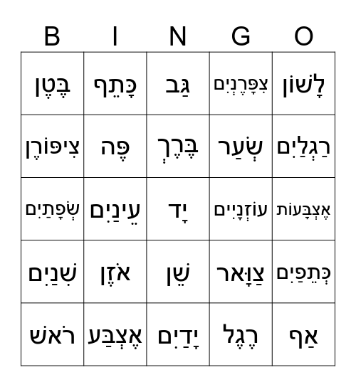 Body Parts - חֶלְקֵי גּוּף Bingo Card