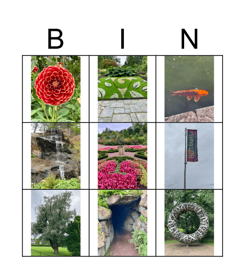 Botaniska trädgården Bingo Card