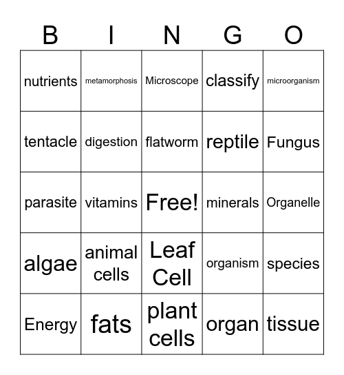 Biology Bingo Card