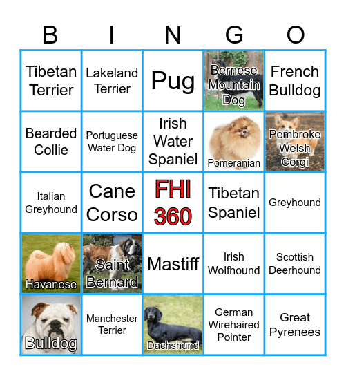 International Dog Day Bingo Card