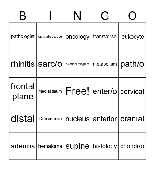 Test 1 Bingo Card