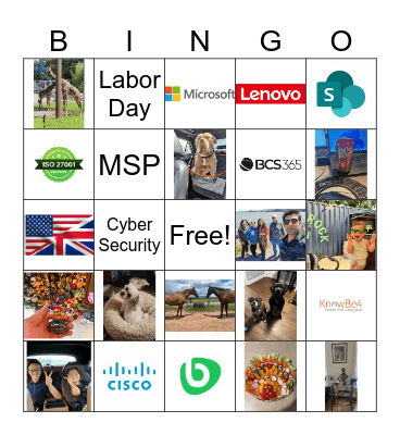 BCS365 Bingo Card