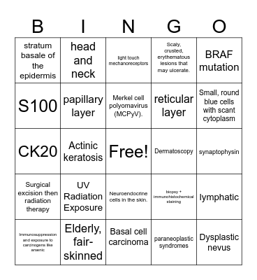 IQ Case 2 Bingo Card