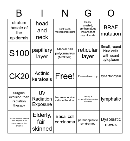 IQ Case 2 Bingo Card