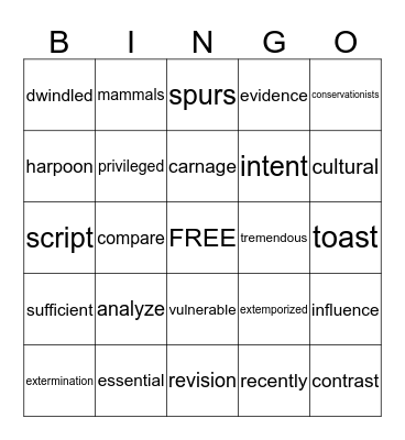 Vocabulary  Bingo Card