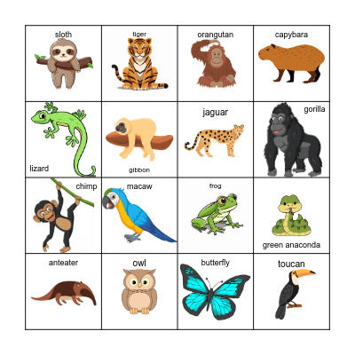 RAINFOREST ANIMALS Bingo Card