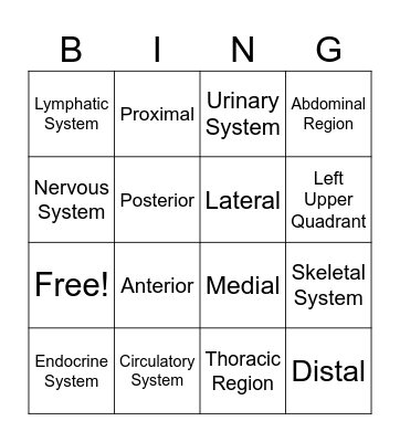 Intro to Anatomy Bing! Bingo Card