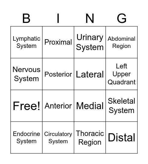 Intro to Anatomy Bing! Bingo Card