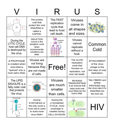 Virus Bingo Card