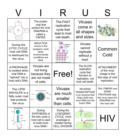 Virus Bingo Card