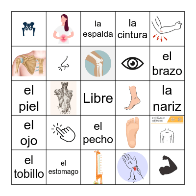 Loteria de la Anatomia Bingo Card