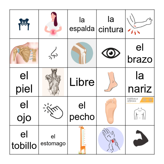 Loteria de la Anatomia Bingo Card