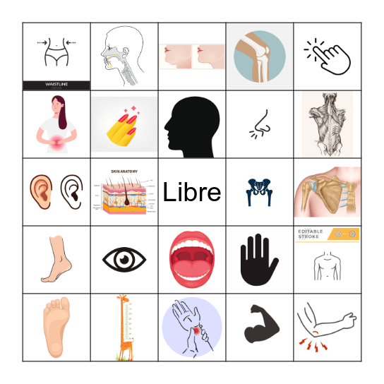 Loteria de la Anatomia Bingo Card