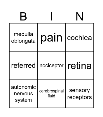 Nervous System Bingo Card