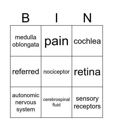 Nervous System Bingo Card