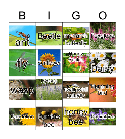 Pollinator Scavenger Hunt Bingo! Bingo Card