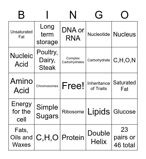 BIOMOLECULES Bingo Card