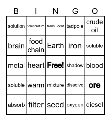 P3 SCIENCE VOCABULARY BINGO Card