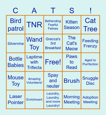 Tabby's Place BINGO Card