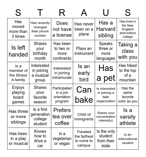 Straus A 2028 Bingo Card