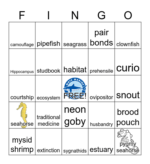 Mote WAVE: Seahorses Bingo Card