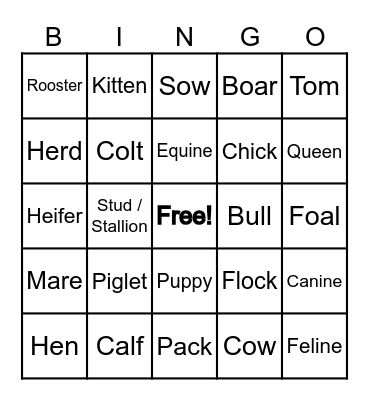 Animal Names Bingo Card