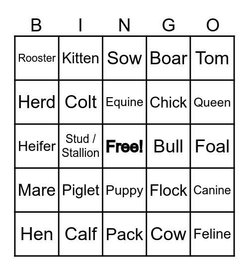 Animal Names Bingo Card