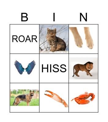 ANIMAL Bingo Card