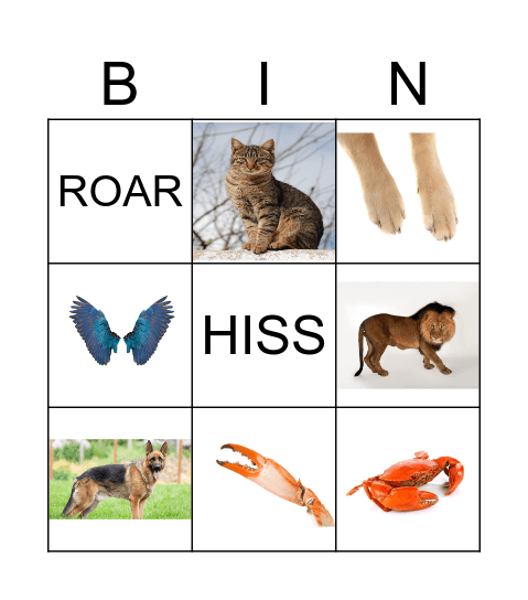 ANIMAL Bingo Card