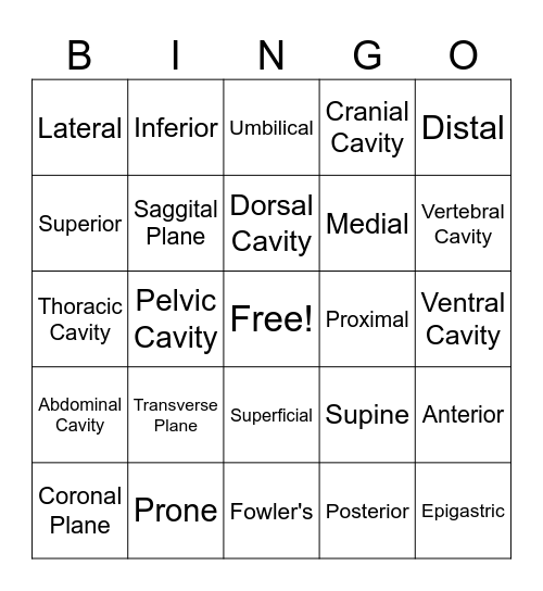 Anatomical Terms- Planes/ Regions/ Directions Bingo Card