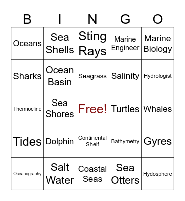 Oceans 11 Vocabulary Bingo Card