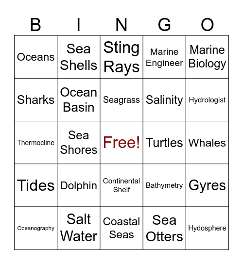 Oceans 11 Vocabulary Bingo Card