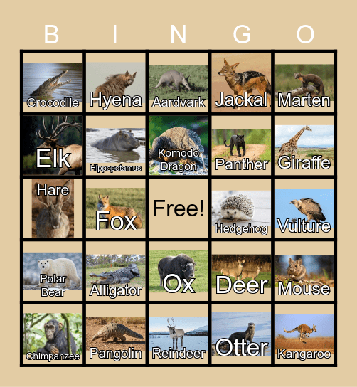 Animal Bingo Card