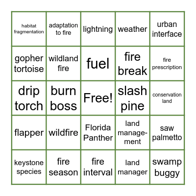 Fire in Florida Bingo Card