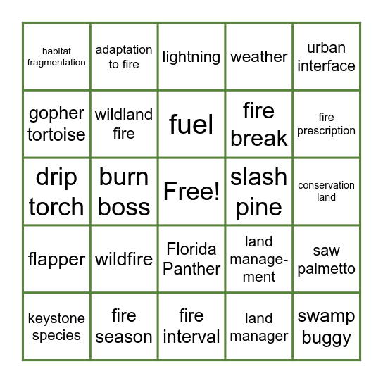 Fire in Florida Bingo Card