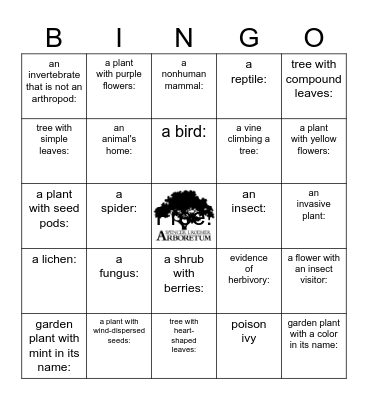 Roemer Arboretum Bingo Card