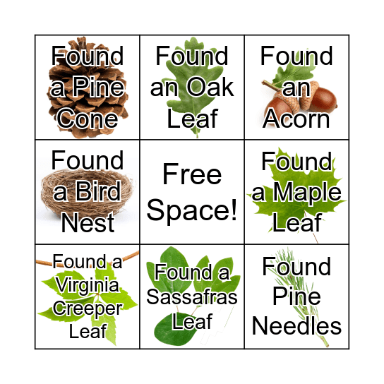 Tree Bingo Card