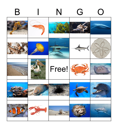 Ocean Bingo Card