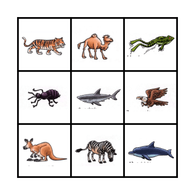 Wild Animals Bingo Card