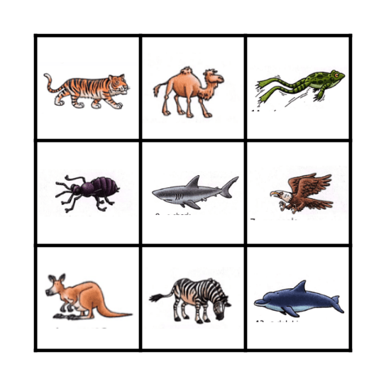 Wild Animals Bingo Card