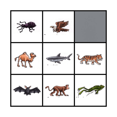 Wild Animals Bingo Card