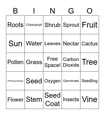 Plants BINGO Review Game Bingo Card