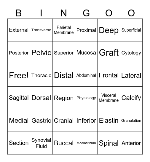 1.01 - 1.02 Binog Bingo Card