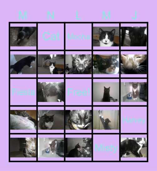 Cat Bingo Card