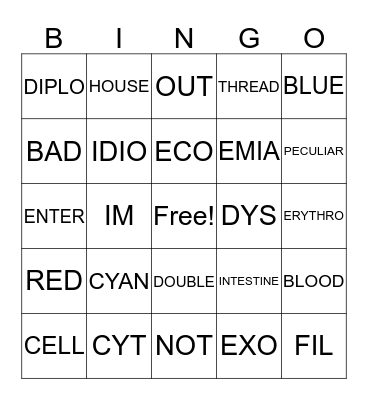 Vocabulary Words for List #4 Bingo Card