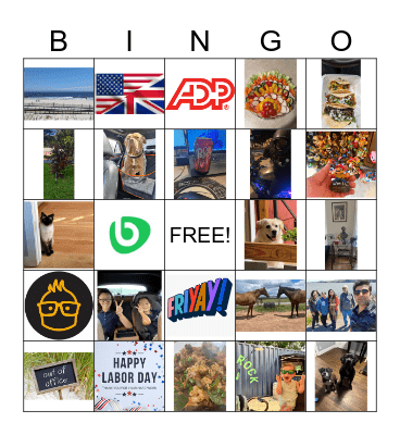 BCS365 Bingo Card