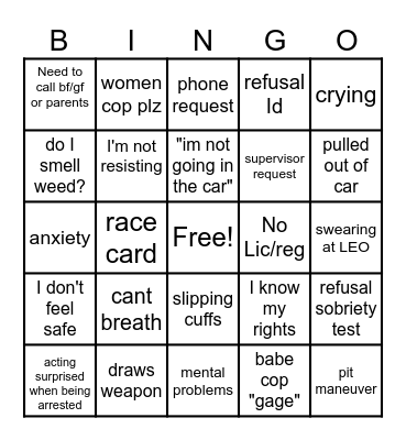 police cam videos Bingo Card