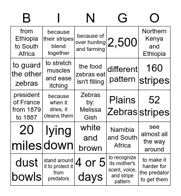 Zebras  By:  Melissa Gish Bingo Card